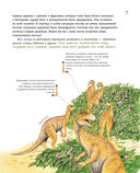 Динозавры мелового периода — фото, картинка — 6