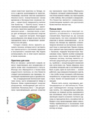 Мой блокнот занятий. Йога — фото, картинка — 4