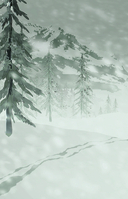 Глобальный экзамен. Том 1 — фото, картинка — 14