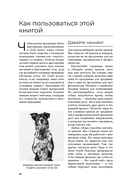 СОБАКА, которая УМЕЕТ ВСЕ. Пошаговое руководство по 118 удивительным трюкам — фото, картинка — 8