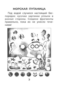 Прятки с природой: готовимся к школе — фото, картинка — 1