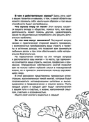 Икигай: предназначение здесь и сейчас — фото, картинка — 3