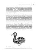 Agile-менеджмент. Лидерство и управление командами — фото, картинка — 29
