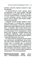 Советы уролога — фото, картинка — 20