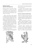 Энциклопедия народной медицины и натуропатии — фото, картинка — 12