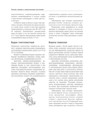 Энциклопедия народной медицины и натуропатии — фото, картинка — 13