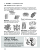 Анатомия для художников. Более 50 проектов — фото, картинка — 12