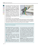 Мужская энциклопедия. Полный иллюстрированный курс — фото, картинка — 9