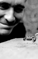 Примитивные технологии. Руководство от специалиста по выживанию в дикой природе — фото, картинка — 12