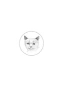 Чеширский сырный кот. Рождественская сказка в духе Чарльза Диккенса — фото, картинка — 1