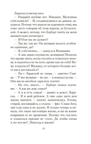 Зимняя вишня — фото, картинка — 15