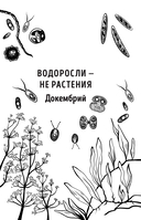Ботаника антрополога. Как растения создали человека. Ёлки-палки — фото, картинка — 12