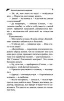 Вечный двигатель маразма — фото, картинка — 9