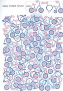 Найди и покажи. Забавные гляделки — фото, картинка — 3