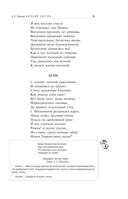 Евгений Онегин — фото, картинка — 29