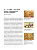 Профессия – Научный иллюстратор. Руководство по иллюстрации в биологии, археологии и палеоарте — фото, картинка — 11