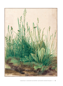 Профессия – Научный иллюстратор. Руководство по иллюстрации в биологии, археологии и палеоарте — фото, картинка — 14