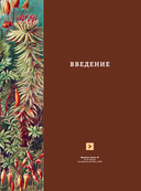 Профессия – Научный иллюстратор. Руководство по иллюстрации в биологии, археологии и палеоарте — фото, картинка — 10
