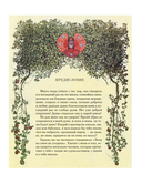 Бабушка — фото, картинка — 10