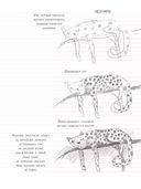 SketchBook. Визуальный экспресс-курс по рисованию. Животные (бирюзовый) — фото, картинка — 10
