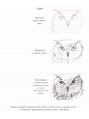 SketchBook. Визуальный экспресс-курс по рисованию. Животные (бирюзовый) — фото, картинка — 12