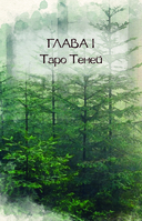 Таро Теней. Другая сторона предсказаний — фото, картинка — 4