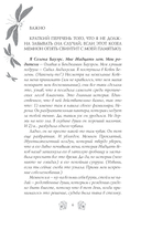 Зачарованная — фото, картинка — 7