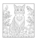 Котятки – мягкие лапки — фото, картинка — 3