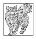 Котятки – мягкие лапки — фото, картинка — 4