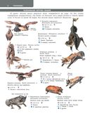 Большой определитель птиц, зверей, насекомых и растений России — фото, картинка — 6