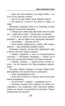 Дорога проклятых кошек — фото, картинка — 67