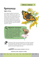 Насекомые. Краткий иллюстрированный справочник — фото, картинка — 11