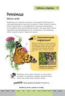 Насекомые. Краткий иллюстрированный справочник — фото, картинка — 13