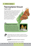 Насекомые. Краткий иллюстрированный справочник — фото, картинка — 14