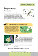 Насекомые. Краткий иллюстрированный справочник — фото, картинка — 15