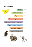 Насекомые. Краткий иллюстрированный справочник — фото, картинка — 5