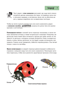 Насекомые. Краткий иллюстрированный справочник — фото, картинка — 7