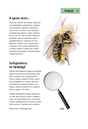 Насекомые. Краткий иллюстрированный справочник — фото, картинка — 9