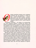 Гадкий утёнок. Сказки — фото, картинка — 4