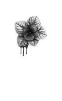 Моя фиалковая ведьма — фото, картинка — 1