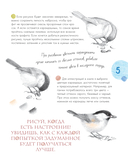 Птицы в городе. 25 историй в фактах и рисунках — фото, картинка — 5