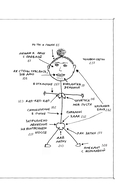 Тело дрянь. Донесения с фронта (и из тыла) — фото, картинка — 7