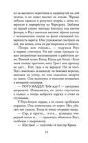 Янтарный амулет, или Первое правило детектива — фото, картинка — 18