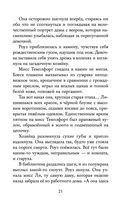 Янтарный амулет, или Первое правило детектива — фото, картинка — 21