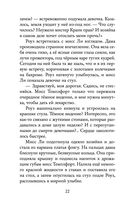 Янтарный амулет, или Первое правило детектива — фото, картинка — 22