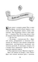 Янтарный амулет, или Первое правило детектива — фото, картинка — 26