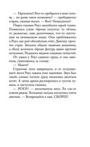 Янтарный амулет, или Первое правило детектива — фото, картинка — 29