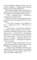 Янтарный амулет, или Первое правило детектива — фото, картинка — 33