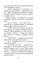 Янтарный амулет, или Первое правило детектива — фото, картинка — 37