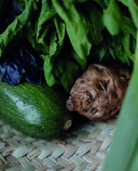 Еда, которая дарит любовь. Осознанное питание во благо здоровья и гармонии — фото, картинка — 1